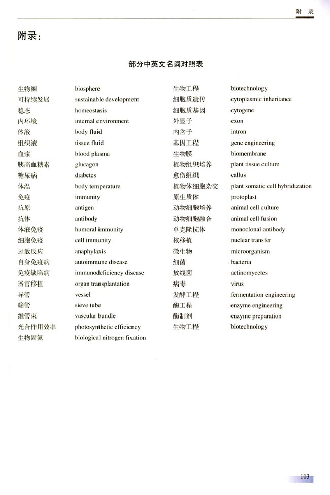 附录： 部分中英文名词对照表(第103页)