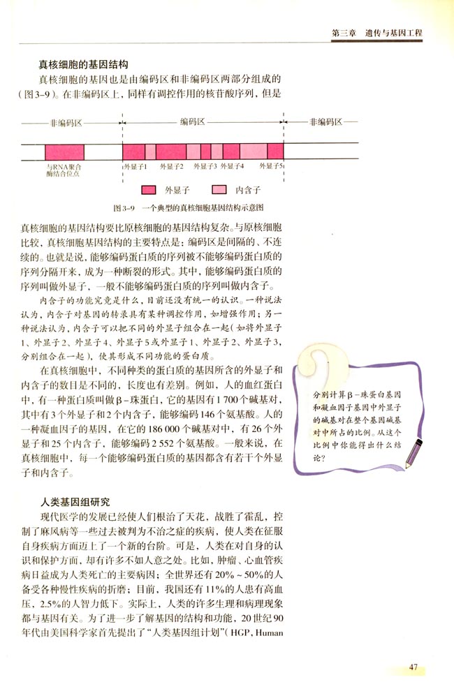第二节 基因的结构(第47页)