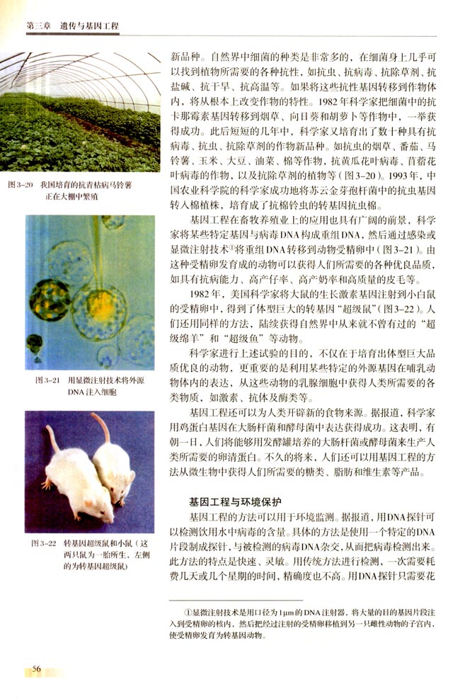 二 基因工程的成果与发展前景(第56页)