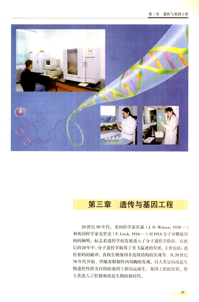 第三章 遗传与基因工程(第39页)