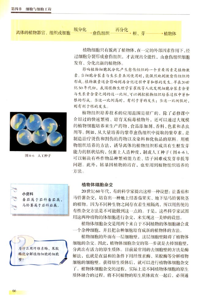 一 植物细胞工程(第66页)