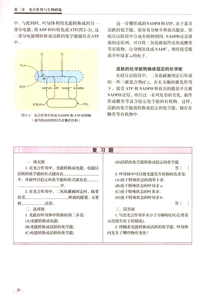 一 光能在叶绿体中的转换(第28页)