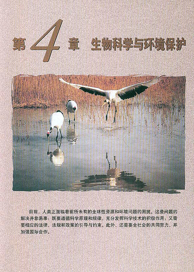 第4章 生物科学与环境保护(第91页)