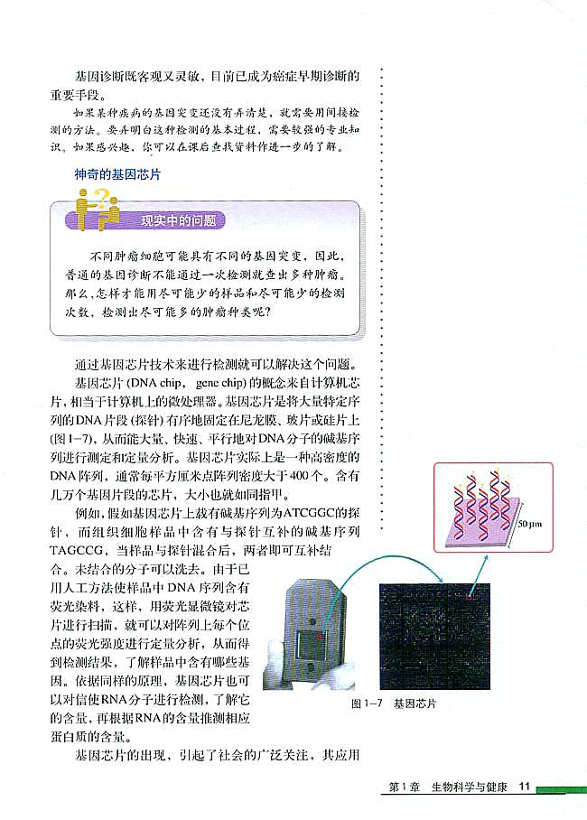 第2节 基因诊断与基因治疗(第11页)