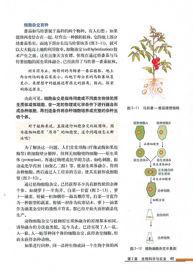 第2节 现代生物技术在育种上的应用(第45页)
