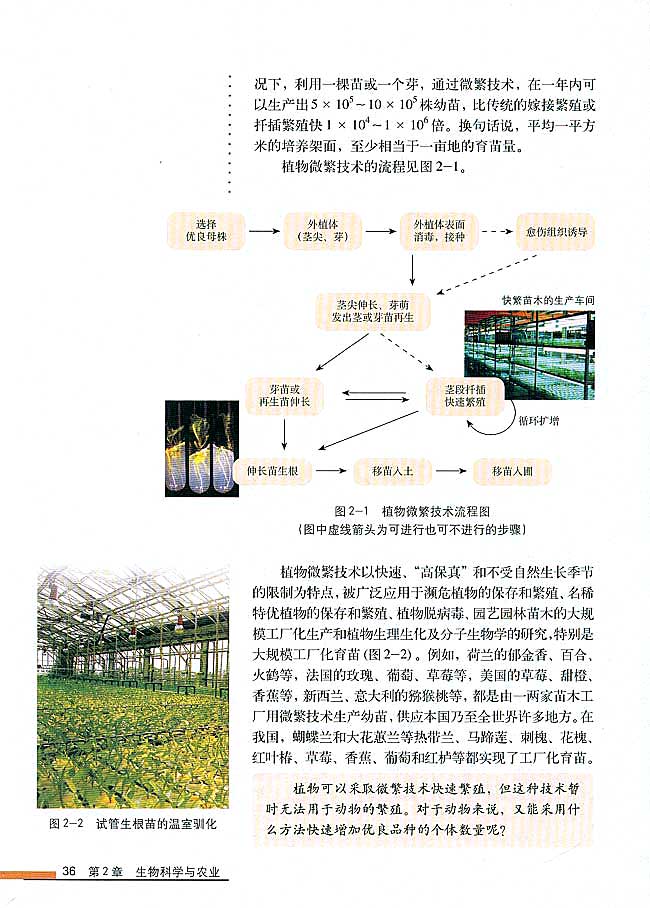第1节 农业生产中繁殖控制技术(第36页)