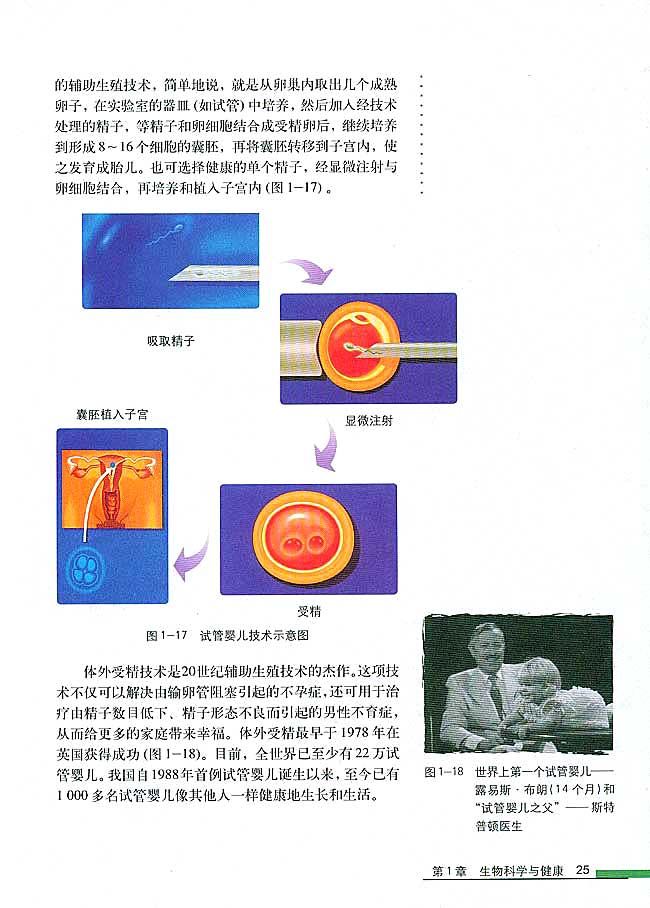 第4节 生殖健康(第25页)