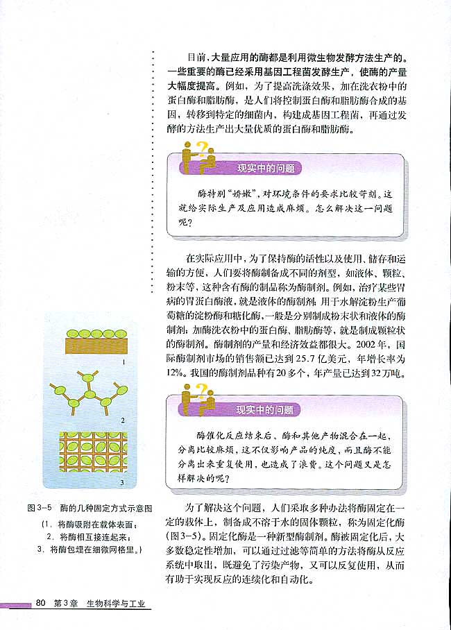 第2节 酶在工业生产中的应用(第80页)