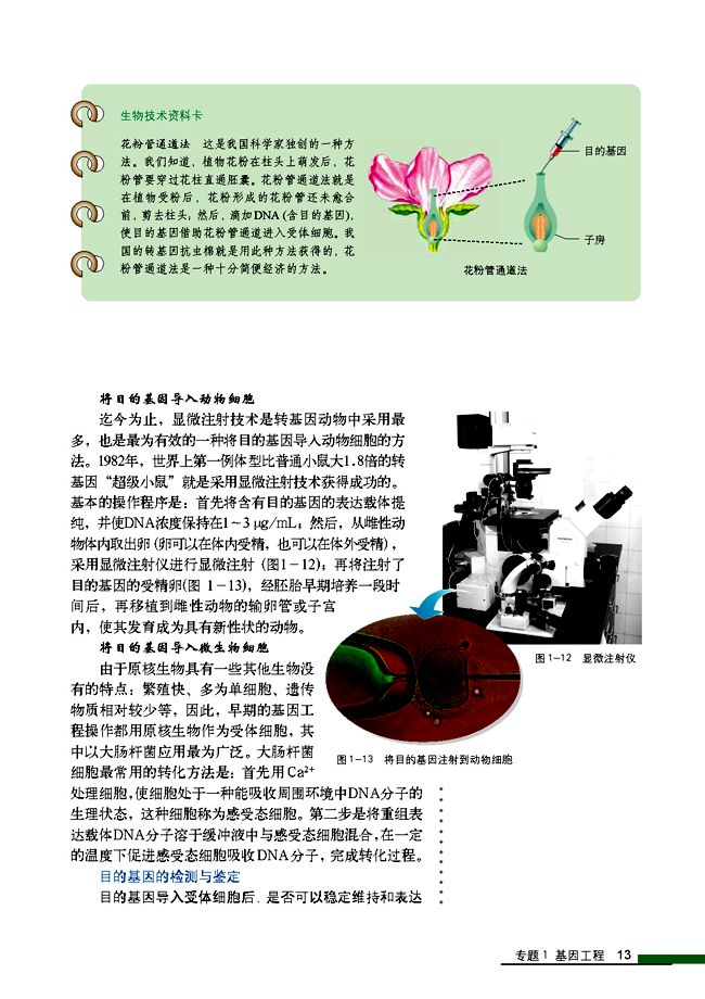 1.2 基因工程的基本操作程序(第13页)