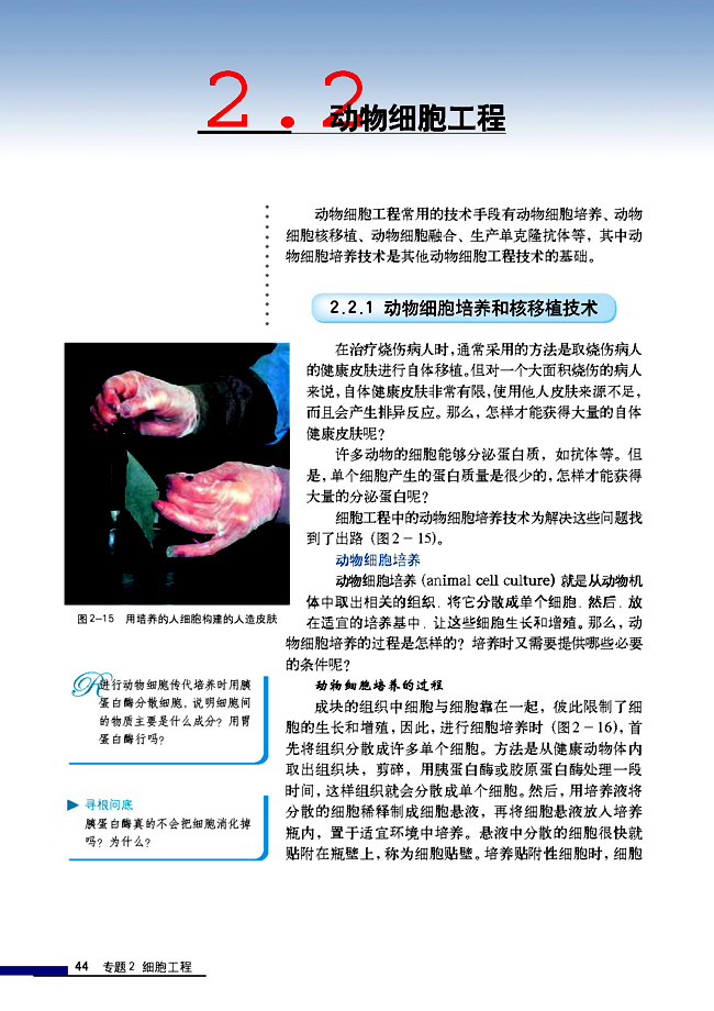 2.2 动物细胞工程 2.2.1 动物细胞培养和核移植技术(第44页)