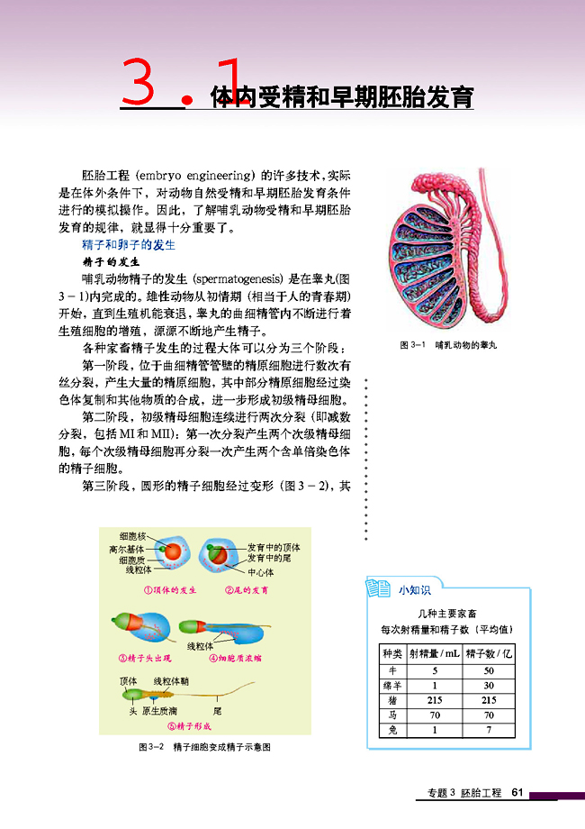3.1 体内受精和早期胚胎发育(第61页)