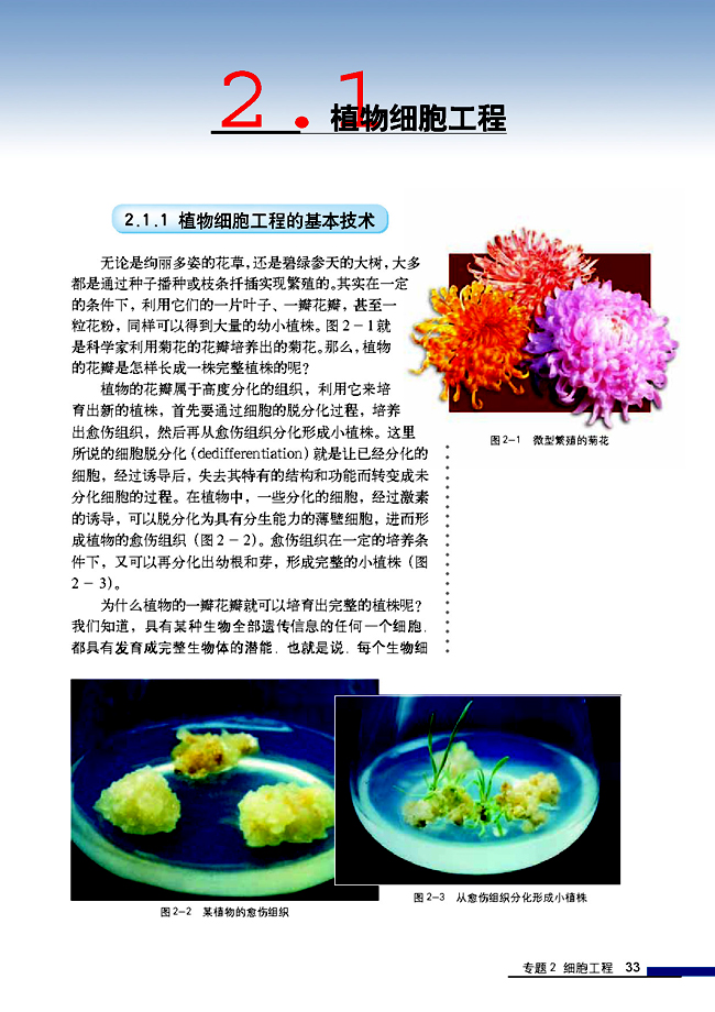 2.1 植物细胞工程 2.1.1 植物细胞工程的基本技术(第33页)