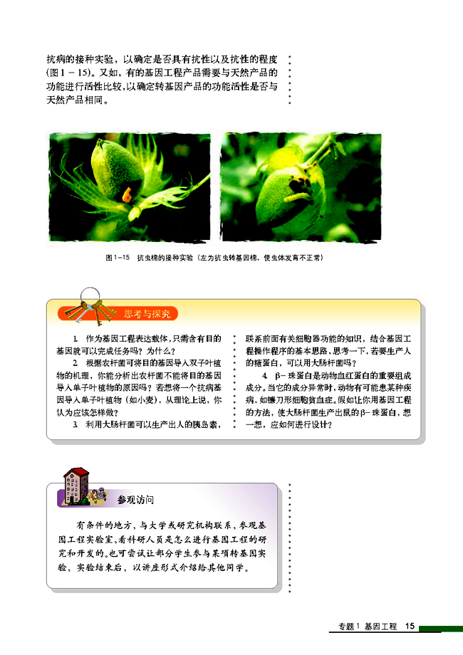 1.2 基因工程的基本操作程序(第15页)