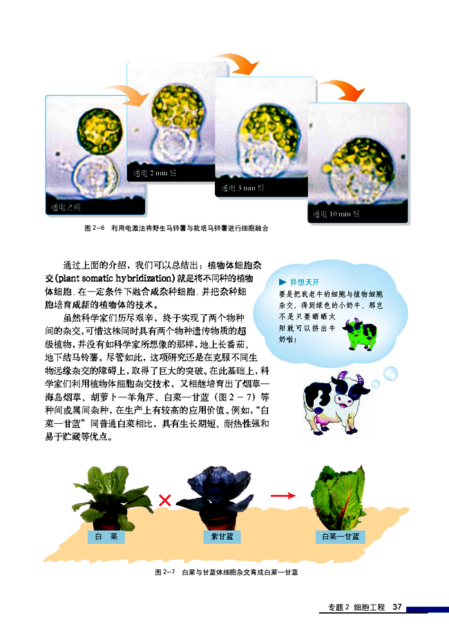 2.1 植物细胞工程 2.1.1 植物细胞工程的基本技术(第37页)