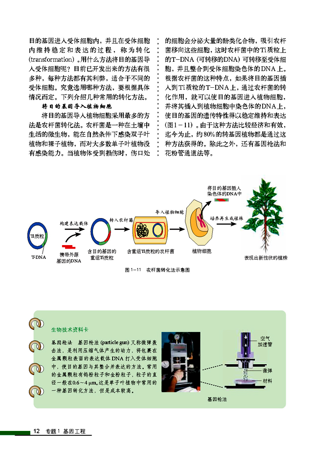 1.2 基因工程的基本操作程序(第12页)