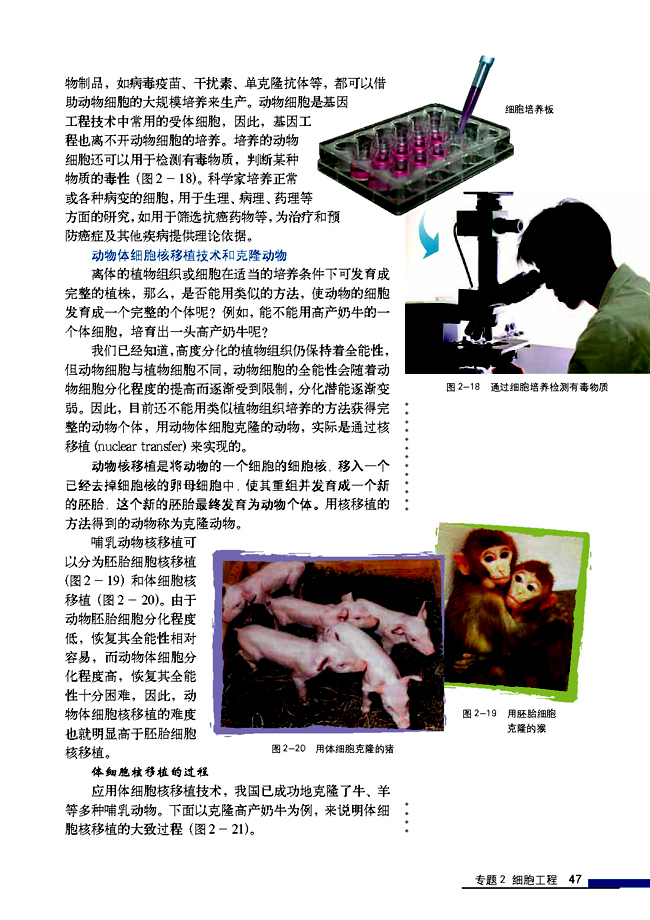 2.2 动物细胞工程 2.2.1 动物细胞培养和核移植技术(第47页)