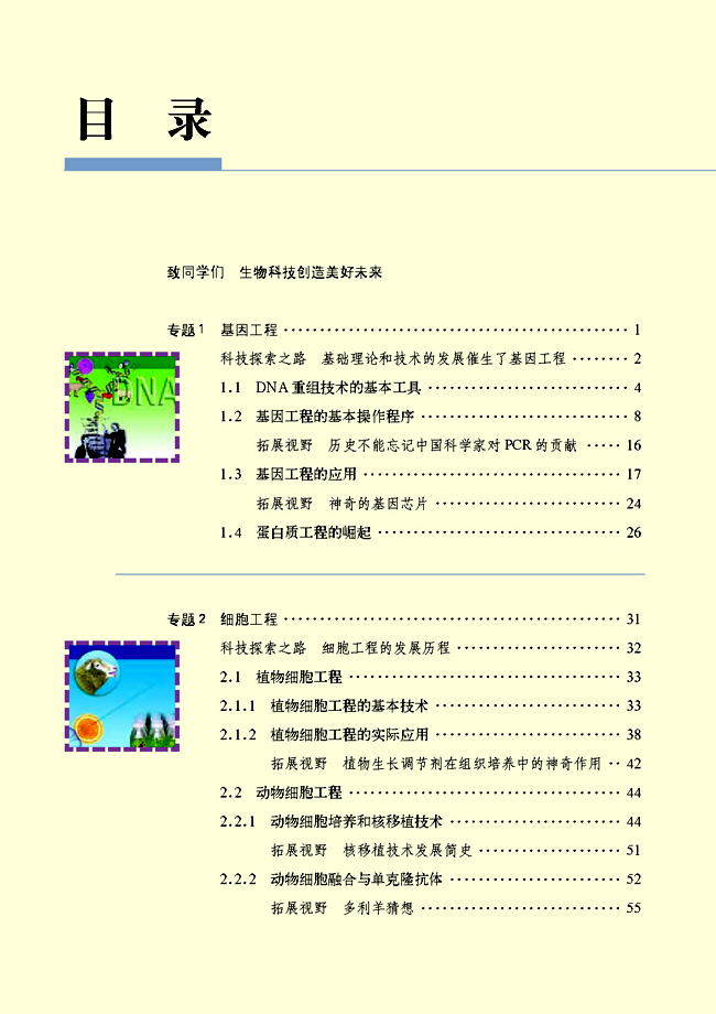 封面/前言/目录