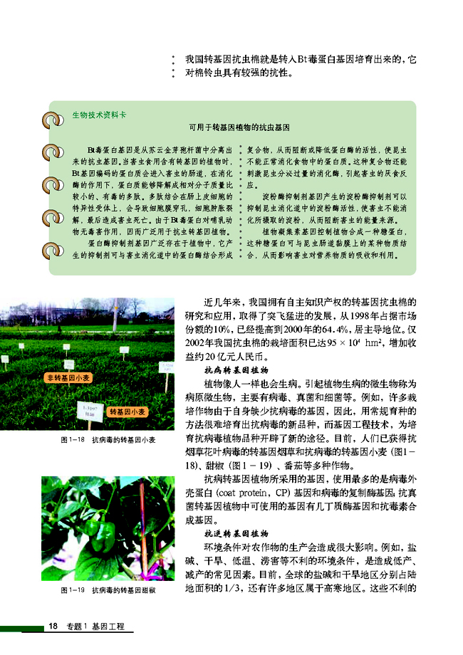 1.3 基因工程的应用(第18页)