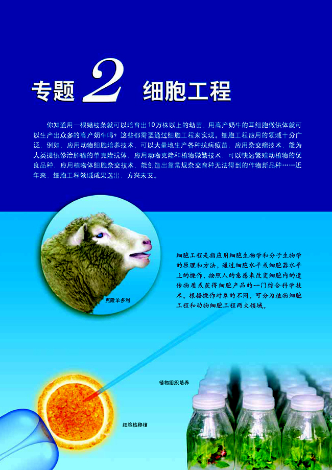 专题2 细胞工程(第31页)
