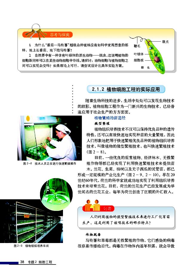 2.1.2 植物细胞工程的实际应用(第38页)