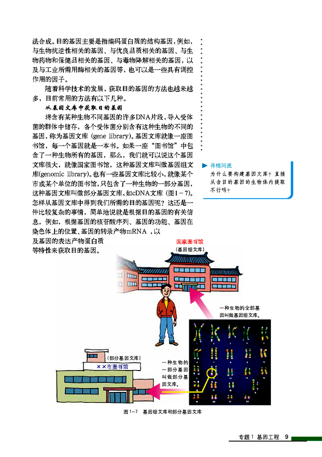 1.2 基因工程的基本操作程序(第9页)