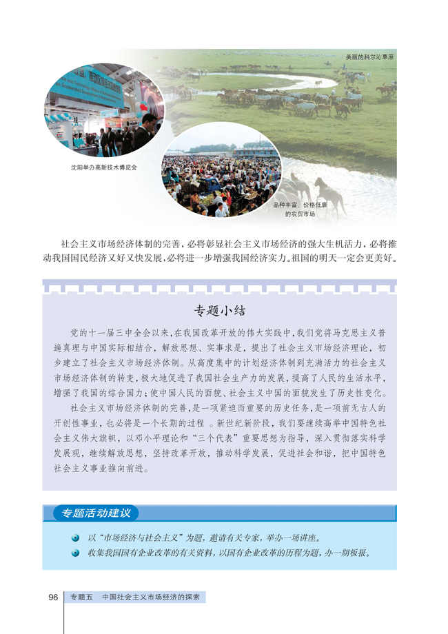 4 完善社会主义市场经济体制(第96页)