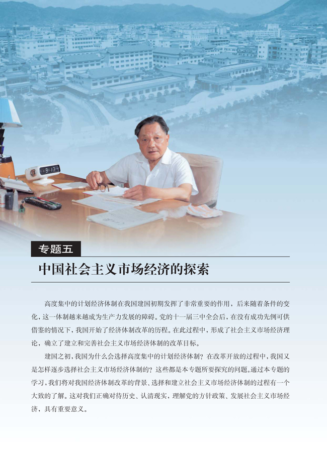 专题五 中国社会主义市场经济的探索(第78页)
