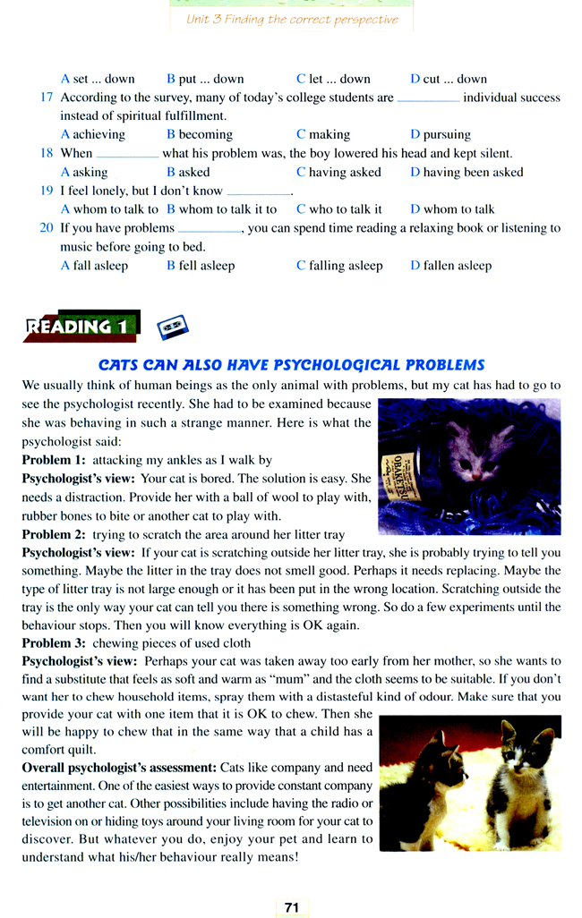 人教版高三英语选修11电子课本Unit 3 Finding the correct perspective(第71页)