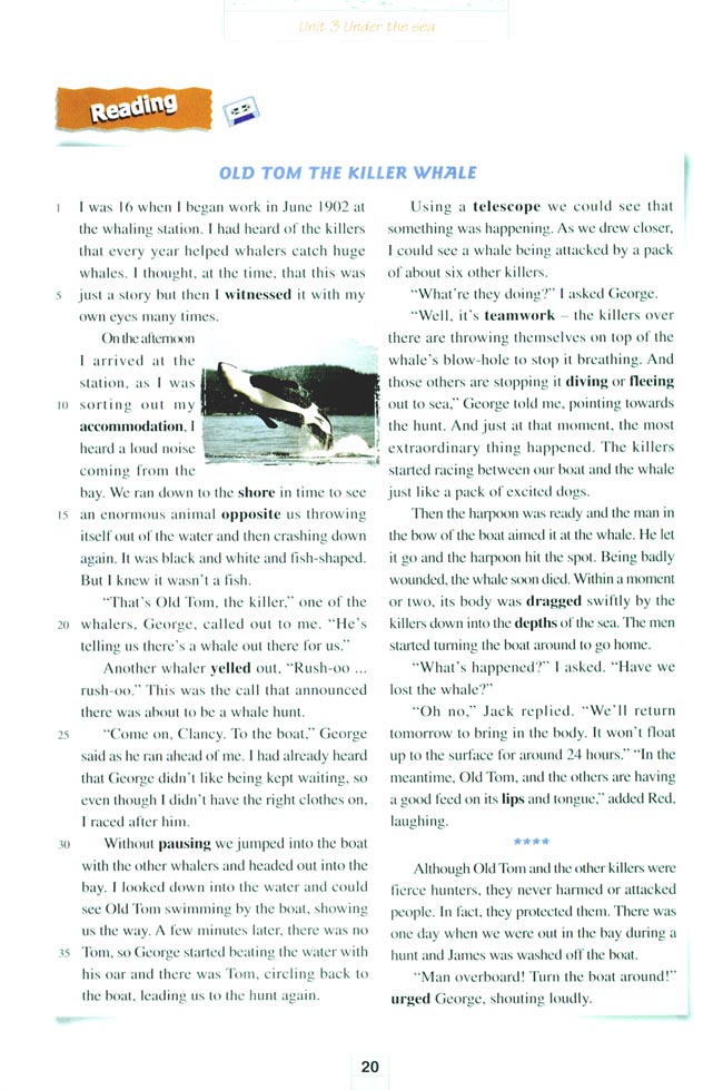 Unit 3 Under the sea(第20页)
