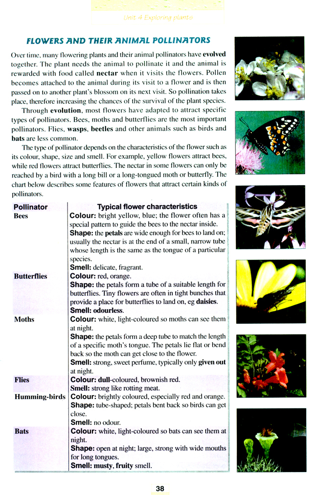 人教版高三英语选修9电子课本Unit 4 Exploring plants(第38页)