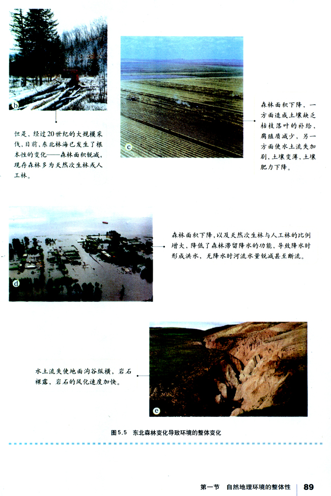 第一节 自然地理环境的整体性(第89页)