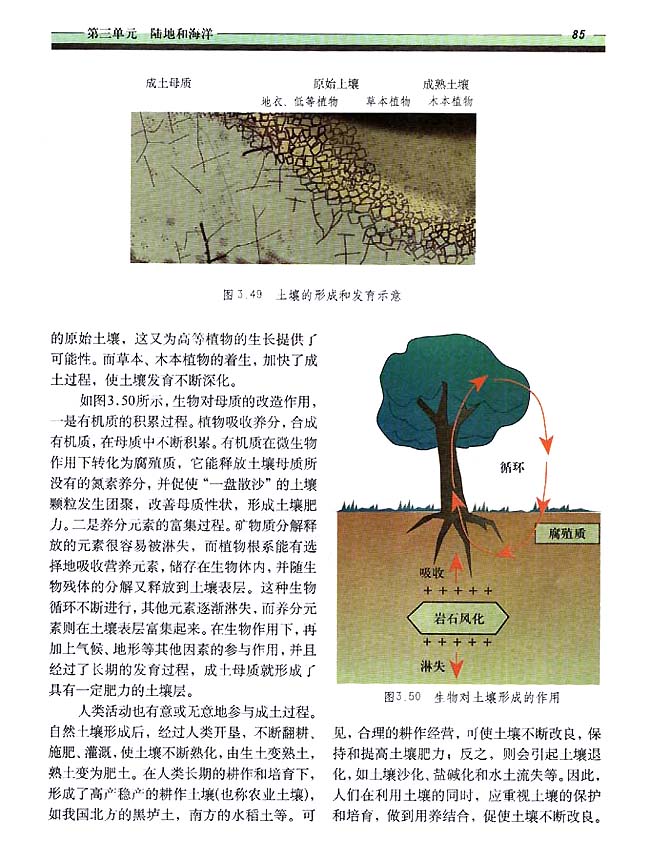 3．7 土壤(第85页)