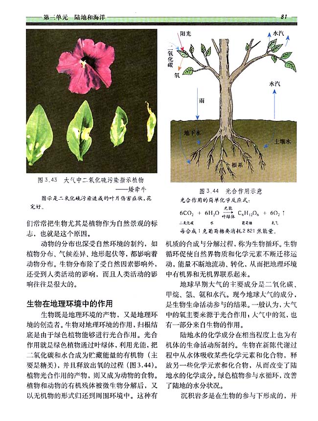 3．6 生物(第81页)