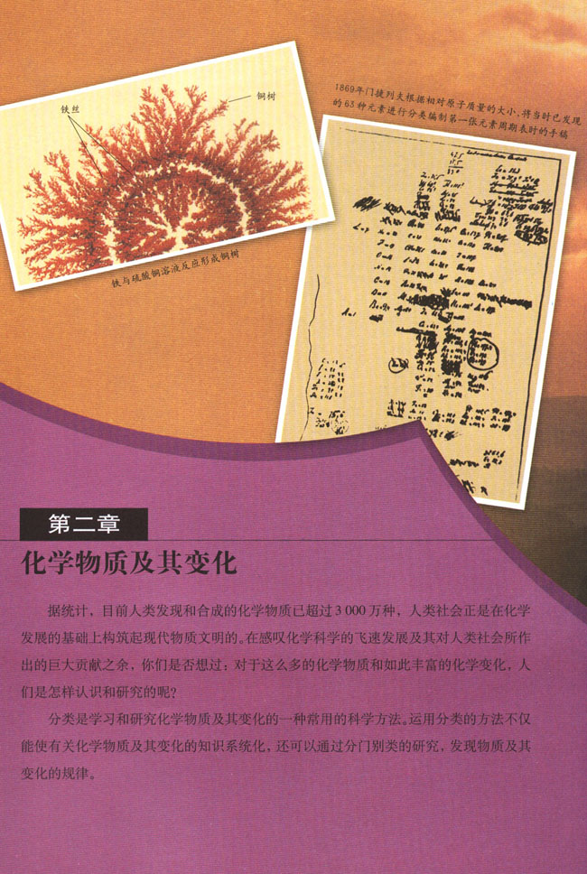 第二章 化学物质及其变化(第21页)