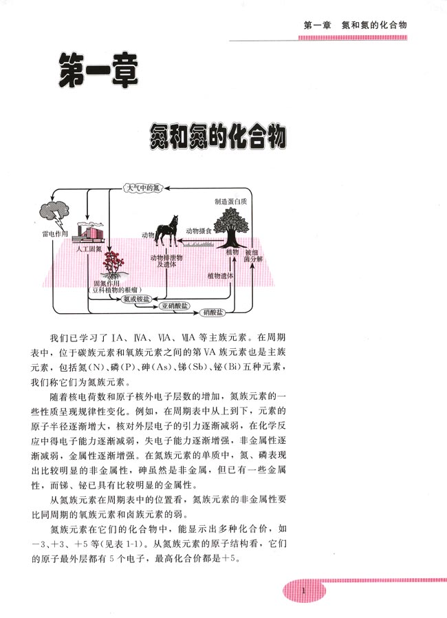 第一章 氮和氮的化合物(第1页)