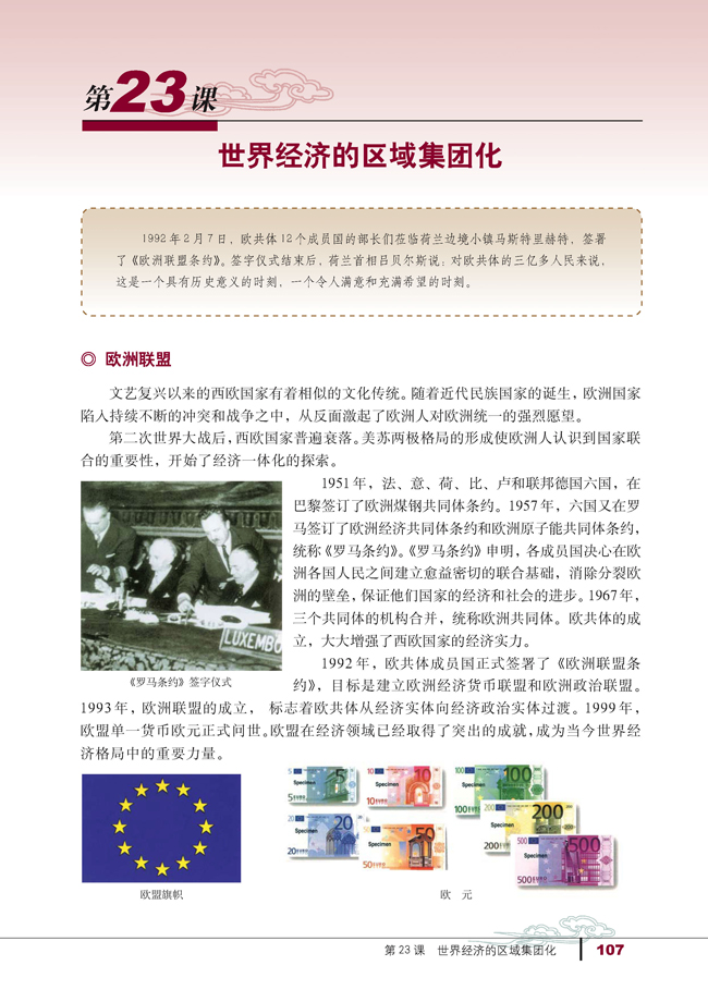 23 世界经济的区域集团化(第107页)