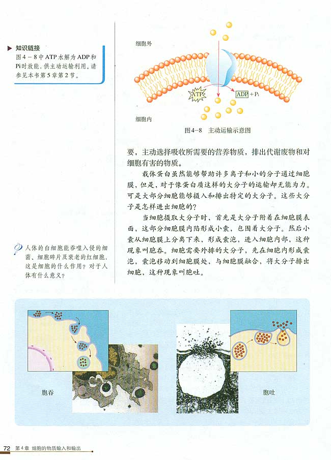 第3节 物质跨膜运输的方式(第72页)