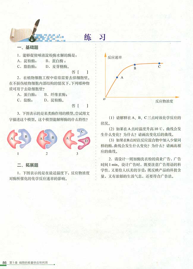 二 酶的特性(第86页)