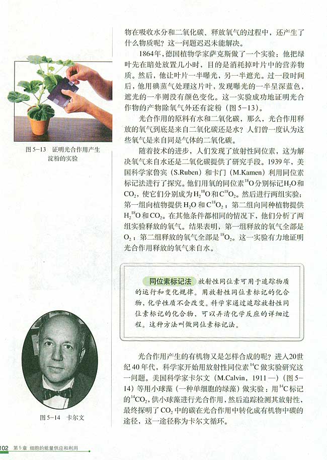 二 光合作用的原理和应用(第102页)