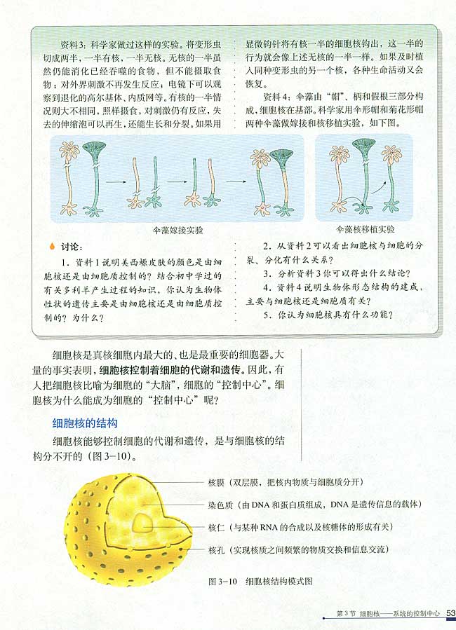 第3节 细胞核――系统的控制中心(第53页)
