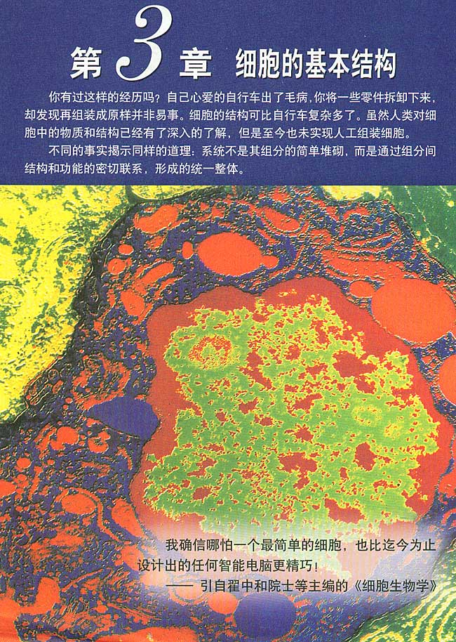 第3章 细胞的基本结构(第39页)