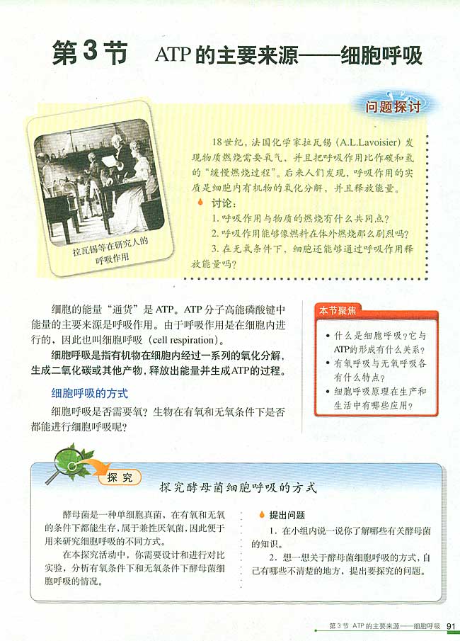 第3节 ATP的主要来源──细胞呼吸(第91页)