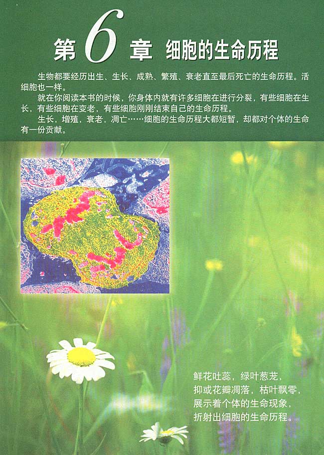 第6章 细胞的生命历程(第109页)