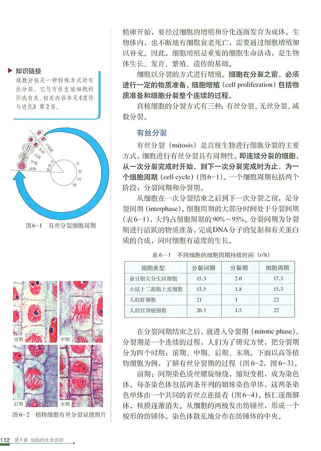 第1节 细胞的增殖(第118页)