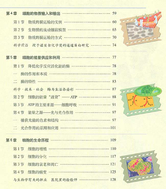 封面/前言/目录