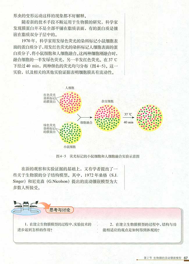 第2节 生物膜的流动镶嵌模型(第67页)