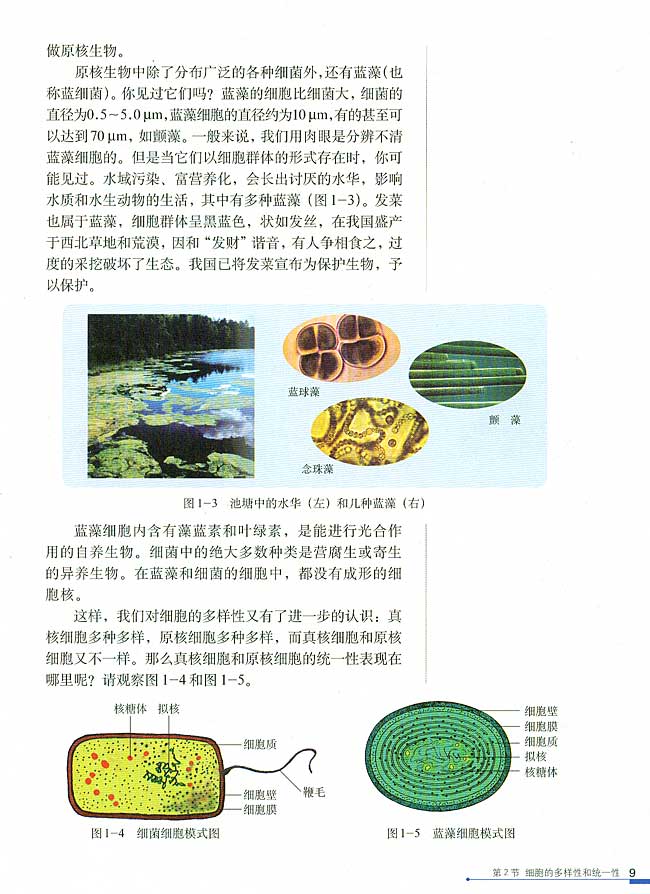 第2节 细胞的多样性和统一性(第9页)