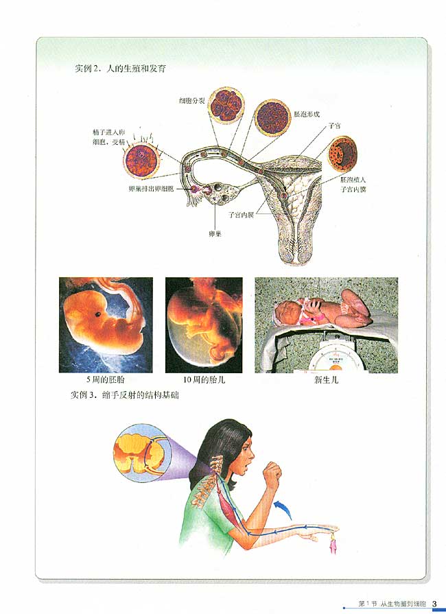 第1节 从生物圈到细胞(第3页)