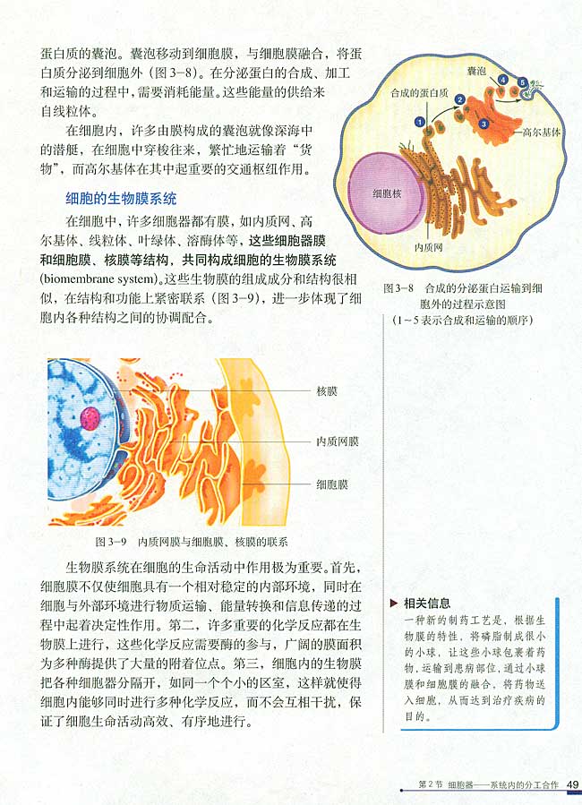 第2节 细胞器──系统内的分工合作(第49页)