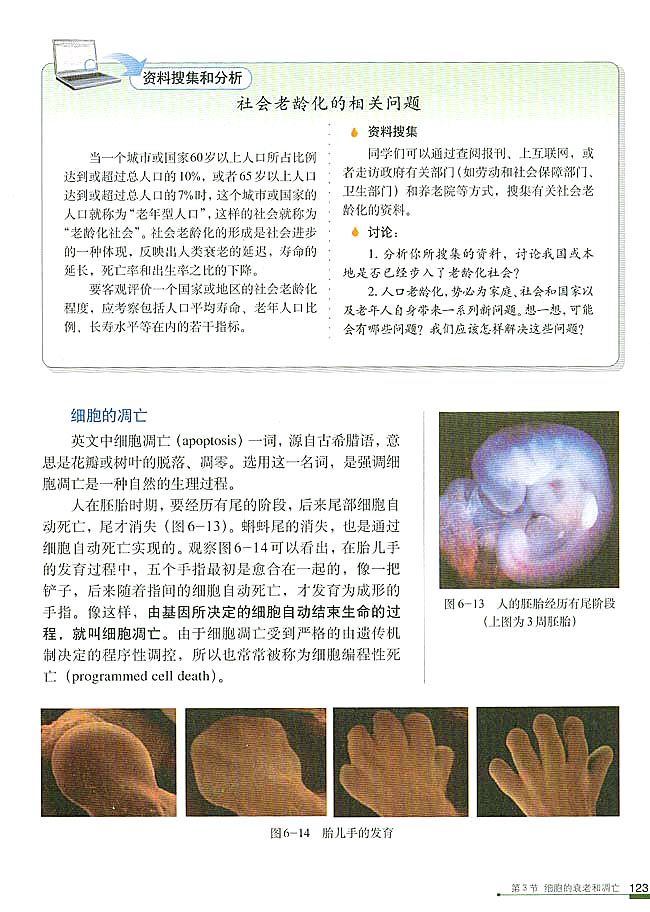 第3节 细胞的衰老和凋亡(第129页)